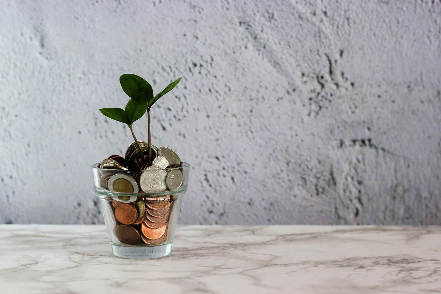 A plant pot with coins in and a small plant growing, representing Amazon return on investment.